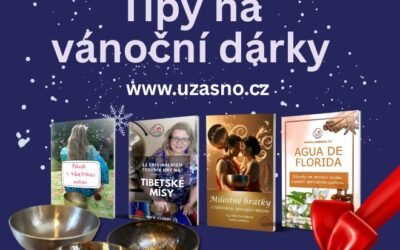 Tipy na vánoční dárky
